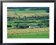 Farmland, Ross-Shire, Scotland by Iain Sarjeant Limited Edition Print