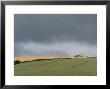 Ireland, Countryside Farmland by Keith Levit Limited Edition Print