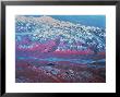 Mount Mckinley, Alaska by Stocktrek Images Limited Edition Pricing Art Print