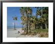 Sub-Tropical Forest And Coastline, Hunting Island State Park, South Carolina, Usa by Duncan Maxwell Limited Edition Print