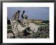 Schonbrunn Palace, Unesco World Heritage Site, Near Vienna, Austria by Julia Thorne Limited Edition Pricing Art Print