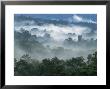 Rain Forest, From Lubaantun To Maya Mountains, Belize, Central America by Upperhall Limited Edition Print