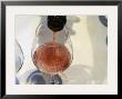 Glass Of Rose, Champagne Jacquesson In Dizy, Vallee De La Marne, Ardennes, France by Per Karlsson Limited Edition Print