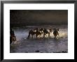 Herdsman And Horses Cross The Lake At Sunset, Great White Lake, Mongolia by Keren Su Limited Edition Print