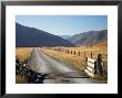 Cattle Stop And Gravel Road, Ahuriri Valley, North Otago, South Island, New Zealand by David Wall Limited Edition Pricing Art Print