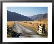 Cattle Stop And Gravel Road, Ahuriri Valley, North Otago, South Island, New Zealand by David Wall Limited Edition Pricing Art Print