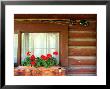 Fly Fishing Rods On Cabin Wall, Lake City, Colorado, Usa by Janell Davidson Limited Edition Print