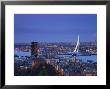 Rotterdam And Erasmus Bridge From Euromast Tower, Rotterdam, Holland by Michele Falzone Limited Edition Print