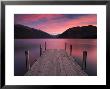 Jetty On Lake Rotoiti, Nelson Lakes National Park, South Island, New Zealand by Adam Burton Limited Edition Print