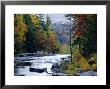 White Mountains National Forest, Near Jackson, New Hampshire, Usa by Fraser Hall Limited Edition Print