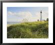 Bill Baggs Cape Florida Lighthouse, Bill Baggs Cape Florida State Park, Key Biscayne, Florida by Maresa Pryor Limited Edition Print