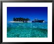 Dive Boats Off Island, South Water Caye, Stann Creek, Belize by Mark Webster Limited Edition Pricing Art Print