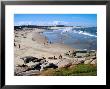 Playa De La Moza Beach, Santa Teresa National Park, Rocha, Uruguay by Krzysztof Dydynski Limited Edition Print