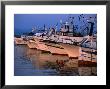 Fishing Boats In Porto Calasetta, Sant' Antioco, Sardinia, Italy by Dallas Stribley Limited Edition Print