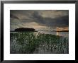 Marsh Plants And Clouds In The Atchafalaya At Twilight by James P. Blair Limited Edition Print