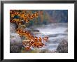 Autumn Hues And Large Boulders Along The Gauley River by Raymond Gehman Limited Edition Print
