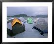 Tents Pitched By Campers On The Deck Of A Ferry by Rich Reid Limited Edition Pricing Art Print