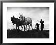 Farmers Preparing The Ground For Spring Planting by Carl Mydans Limited Edition Print