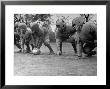 Kids Lining Up Like Line Men Ready To Play by Wallace Kirkland Limited Edition Print