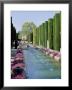 Fountains In Gardens, Cordoba, Andalucia (Andalusia), Spain by James Emmerson Limited Edition Print