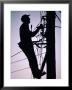 Silhouette Of Engineer Working Up A Telegraph Pole, East Sussex, England, United Kingdom by Ruth Tomlinson Limited Edition Print