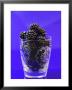 Fresh Blackberries In A Glass by Sara Jones Limited Edition Pricing Art Print