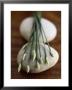 Garlic Chives by Jean Cazals Limited Edition Pricing Art Print