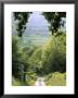 Shropshire, England by Peter Adams Limited Edition Print