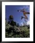 Running, Boulder, Colorado, Usa by Lee Kopfler Limited Edition Print