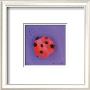 Ladybugs by Anthony Morrow Limited Edition Pricing Art Print