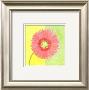 Pink Daisy by Dona Turner Limited Edition Pricing Art Print
