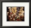 Wildflowers by Tom Thomson Limited Edition Print