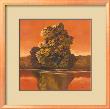 Shades Of Fall I by Robert Holman Limited Edition Print