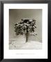 Peira Cava, 1940 by Marcel Bovis Limited Edition Pricing Art Print