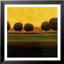 Autumn Sky Ii by Joel Harris Limited Edition Pricing Art Print