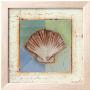 Shell Accents Iv by Celeste Peters Limited Edition Print