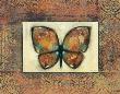 Butterfly Iv by Norman Wyatt Jr. Limited Edition Print