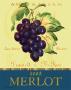 Merlot by Pamela Gladding Limited Edition Pricing Art Print