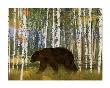 Bear by Lynnea Washburn Limited Edition Print