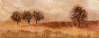 Fields Of Gold I by Rosemary Abrahams Limited Edition Print