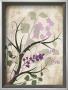 Lavender And Sage Florish I by Jennifer Pugh Limited Edition Pricing Art Print