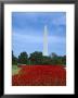 Washington Monument In Washington Dc by Fogstock Llc Limited Edition Pricing Art Print