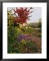 Flower Garden Outside Home by Mark Segal Limited Edition Print