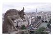 Notre Dame Gargoyle, La Cite Island, Paris, France by Keith Levit Limited Edition Print