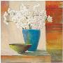 Paperwhite Vase by Claire Lerner Limited Edition Print