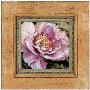 Picture Perfect Peony by Chad Barrett Limited Edition Pricing Art Print