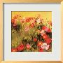 Bees Mfg., Inc. by Shirley Novak Limited Edition Print
