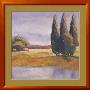 Sunset Cypress by Langford Limited Edition Print
