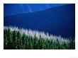 Sunlight And Shadow Over Forests And Mountains Seen From Deer Park Lookout, Olympic National Park by Aaron Mccoy Limited Edition Print