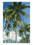 Tropical View With Palm Trees, Clouds, And Distant Mountains by Kate Thompson Limited Edition Print
